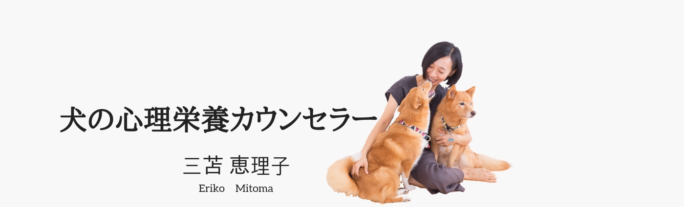 膵炎用ごはん 犬の心理栄養カウンセラー 三苫恵理子